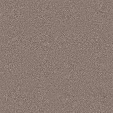 Shaw Floors Best Yet Taupe Dream 00725_5E745
