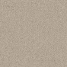 Shaw Floors Best Yet W Terms Sugar Cookie 00127_5E753