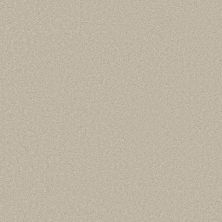 Shaw Floors Best Yet W Terms Creamy 00131_5E753