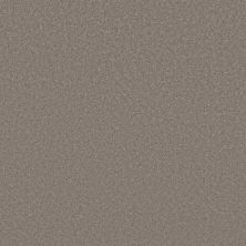 Shaw Floors Best Yet W Terms Mocha Frost 00732_5E753