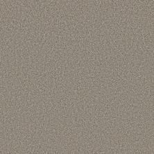 Shaw Affirmed Bistro GF230-111