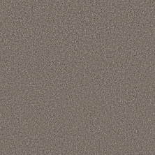 Shaw Affirmed Granite GF230-513