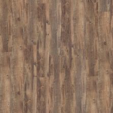 Shaw Floors 5th And Main Metropolis 6 II City Park 00744_5M235