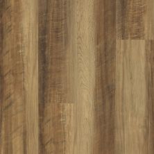 Shaw Floors 5th And Main Mettle Fulvi 00203_5M500