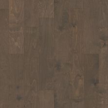 Shaw Floors Carpets Plus Hardwood Destination Terra Trail Windsurf 05034_CH923