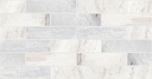 Shaw Floors SFA Pearl 4×16 Cashmere White 00100_SA29A