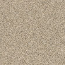 Anderson Tuftex Creative Elegance (floors To Go) Legacy Of Life Sand Dune 00223_610AF