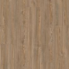 Shaw Floors Resilient Property Solutions Unrivaled 9″ Sheff Pine 02906_678CT