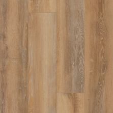 Shaw Floors Resilient Property Solutions Unrivaled 9″ Celo Oak 02908_678CT