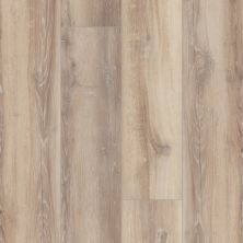 Shaw Floors Resilient Residential Unrivaled 9″ Watford Oak 02909_678CT