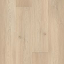 Shaw Floors Resilient Residential Unrivaled 9″ Crown Oak 02911_678CT