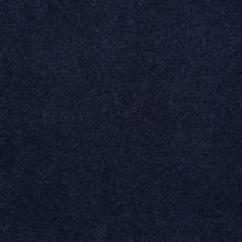 Philadelphia Commercial Mercury Carpets Fusion-30 Black Sapphire 00031_6982D