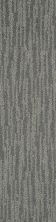 Shaw Floors Dynamic Vision Ground Fog 00500_6E001