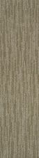 Shaw Floors Dynamic Vision Menswear 00700_6E001