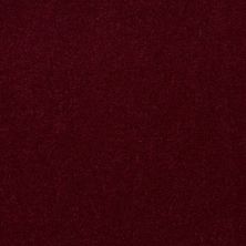 Philadelphia Commercial Beijing 30 Botticelli