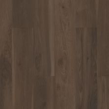 Shaw Floors Resilient Residential Inspire HD 7″ Blended Umber 03016_704CT