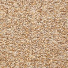 Philadelphia Commercial Freedom Collection Franklin Stalok Pattern Honey Wheat