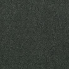 Philadelphia Commercial Freedom Collection Capitol Hill 30 Hedge