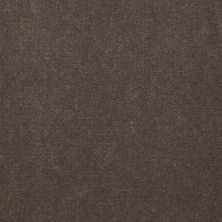 Philadelphia Commercial Freedom Collection Capitol Hill 30 Sandy Taupe