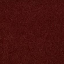 Philadelphia Commercial Freedom Collection Capitol Hill 30 Adobe