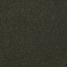 Philadelphia Commercial Freedom Collection Capitol Hill 36 Thyme