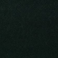 Philadelphia Commercial Freedom Collection Capitol Hill 36 Mountain Pine