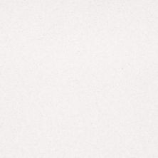 Shaw Floors Social Affair II 12 Sweet Cream 00109_729G2
