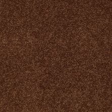 Shaw Floors Social Affair II 12 Tortoise Shell 00707_729G2