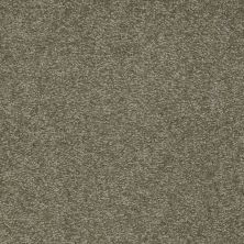 Shaw Floors Social Affair II 15 Alpine Fern 00305_729G3