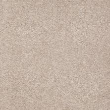Shaw Floors Social Affair III 15 Soft Shadow 00105_729G5