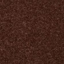 Shaw Floors Target 12′ Flower Pot 00610_729H5