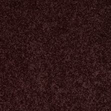 Shaw Floors Target 12′ Royal Purple 00902_729H5