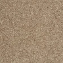 Shaw Floors Property Essentials Forest City I 15 Tassel 00107_732F4