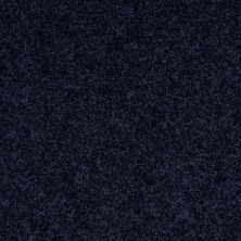 Shaw Floors Property Essentials Forest City II 12 Evening Sky 00403_732F5