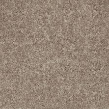 Shaw Floors Property Essentials Forest City II 15 River Slate 00720_732F6