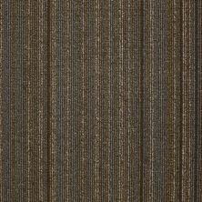 Philadelphia Commercial Core Elements Tile Baskon Tl Willow Wheat P2780_741P4