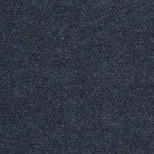 Philadelphia Commercial Core Elements Tile Hold It All Tl Loyal Blue Q5410_741Q5