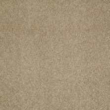 Shaw Floors Pelotage I Himalaya 00702_746A5
