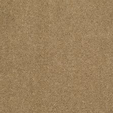 Shaw Floors Pelotage I Navajo 00703_746A5
