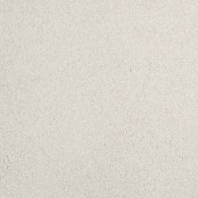 Shaw Floors Pelotage Iv Suffolk 00103_746A8