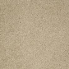 Shaw Floors Pelotage Iv Romney Marsh 00300_746A8