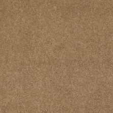 Shaw Floors Pelotage Iv Navajo 00703_746A8