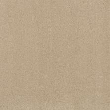 Shaw Floors Exalted Beauty III French Linen 00103_748Z5