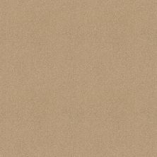 Shaw Floors Exalted Beauty III Mesa 00105_748Z5