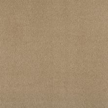 Shaw Floors Exalted Beauty III Taffeta 00107_748Z5