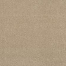 Shaw Floors Exalted Beauty III Beach Walk 00126_748Z5
