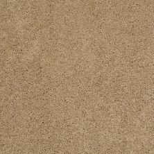 Shaw Floors Exalted Beauty III Cologne Mist 00128_748Z5