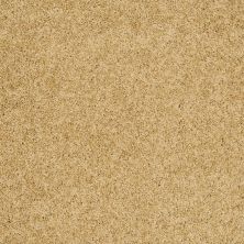 Shaw Floors Ultratouch Anso Exalted Beauty III Festival Gold 00201_748Z5