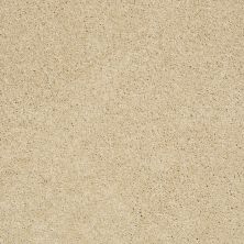 Shaw Floors Ultratouch Anso Exalted Beauty III Chamois 00220_748Z5
