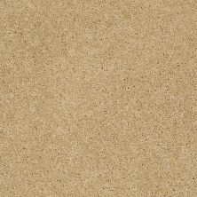 Shaw Floors Ultratouch Anso Exalted Beauty III Solar 00221_748Z5